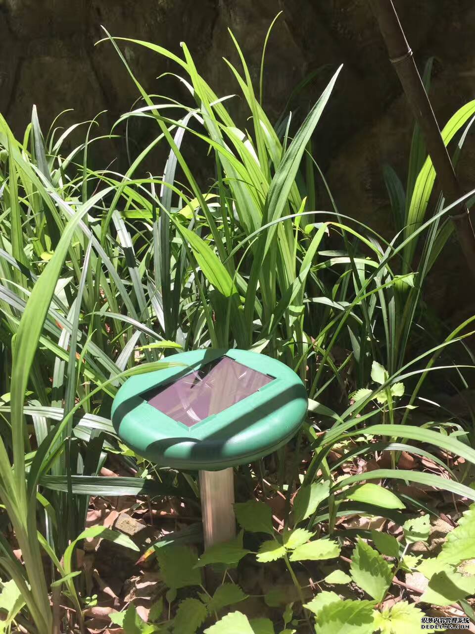 三臺山莊驅蛇器的應用(圖1)